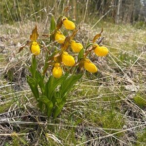 Meet your Posher, Becky